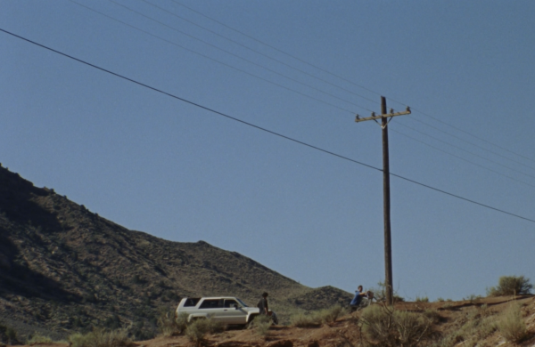 Desert Bugs
